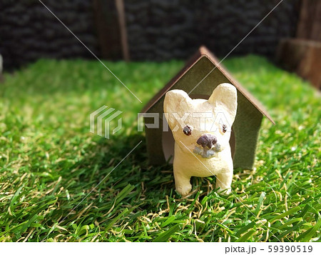 フレンチブルドッグ 犬小屋 芝生の写真素材