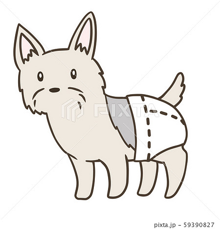 おむつをはいたヨークシャーテリア4 59390827