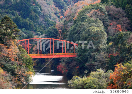 紅葉の亀山湖 紅葉の亀山湖 59390946