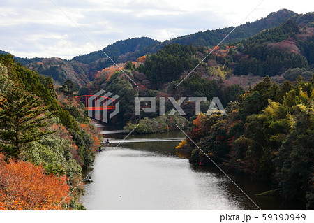 紅葉の亀山湖　坂畑橋より 59390949