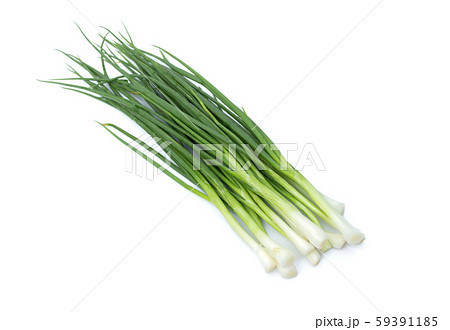 fresh bunch of green onions or scallions  59391185