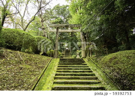 加茂神社 参道 鳥取県倉吉市 加茂神社 参道 鳥取県倉吉市 59392753