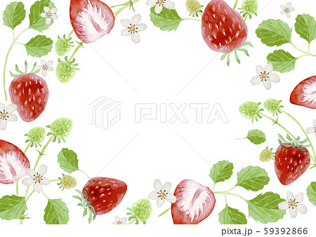 イチゴ 背景 フレーム 水彩 イラストのイラスト素材