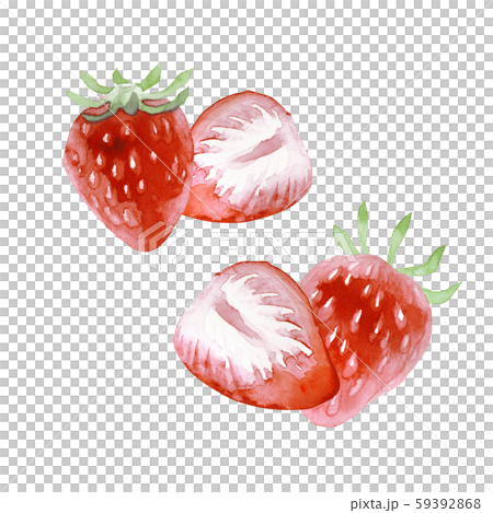 Fresh Strawberry Cross Section Watercolor Stock Illustration