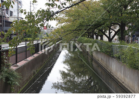 見沼代用水東縁：舎人橋付近（最下流・毛長川合流手前） 59392877