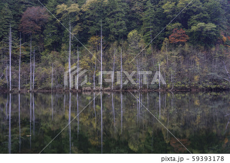 （長野県）王滝村の自然湖　夕景 59393178
