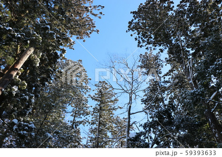 越中國一之宮 雄山神社 前立社壇　境内（富山県中新川郡立山町） 59393633