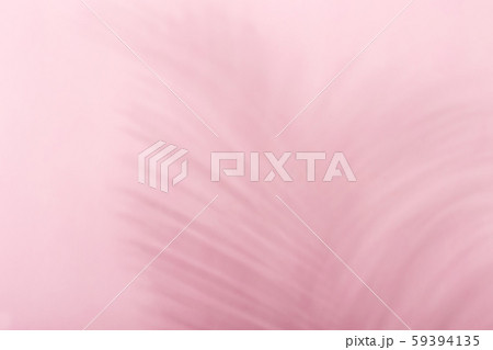 Monochrome background with shadow of tropical leaf Monochrome background with shadow of tropical leaf 59394135