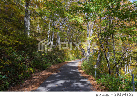 谷川岳一ノ倉沢に向かう国道291号線　秋景 59394355