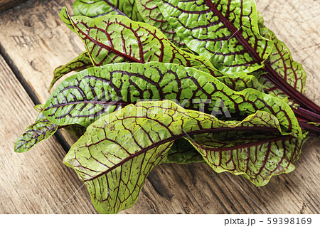 Raw sorrel leaves Raw sorrel leaves 59398169
