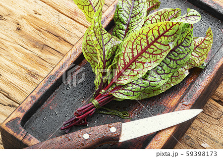 Sorrel bloody mary 59398173