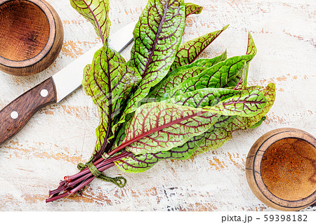 Sorrel bloody mary Sorrel bloody mary 59398182