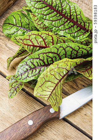 Sorrel bloody mary 59398183