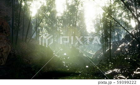 Lush green leaves of bamboo near the shore of a 59399222