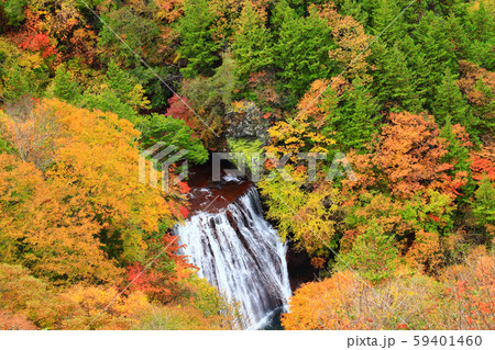 横谷峡　王滝　紅葉 59401460
