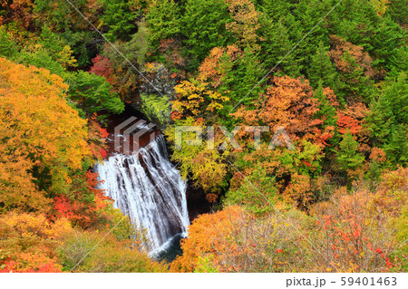 横谷峡　王滝　紅葉 59401463