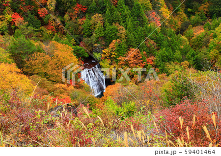 横谷峡 王滝 紅葉 横谷峡 王滝 紅葉 59401464