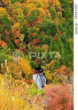 横谷峡　王滝　紅葉 59401467