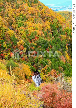 横谷峡　王滝　紅葉 59401471