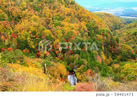 横谷峡 王滝 紅葉 横谷峡 王滝 紅葉 59401473