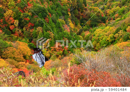 横谷峡　王滝　紅葉 59401484