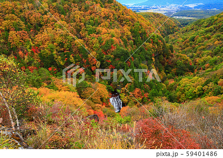横谷峡　王滝　紅葉 59401486