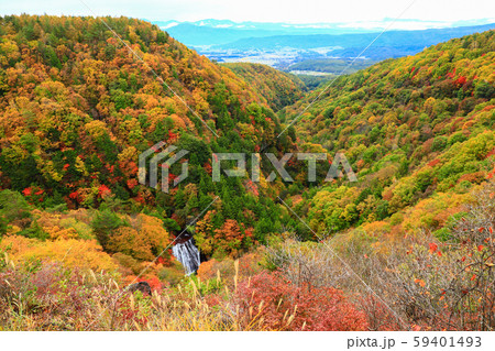 横谷峡　王滝　紅葉 59401493