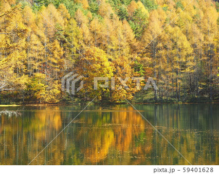 御射鹿池　秋景色 59401628