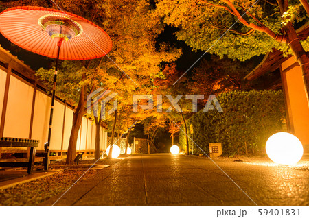 秋の小倉城庭園夜景【福岡県】 59401831