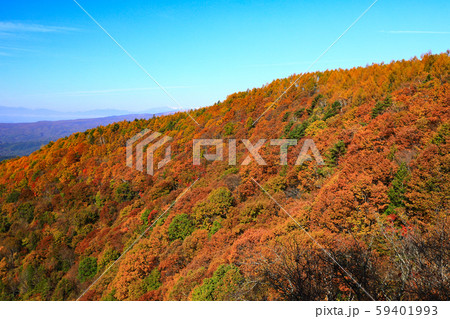 横谷峡　王滝　紅葉 59401993