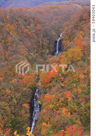【宮城県】錦秋の蔵王の三階の滝 59403043