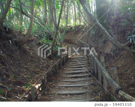 金剛山 千早本道 金剛山 千早本道 59405310