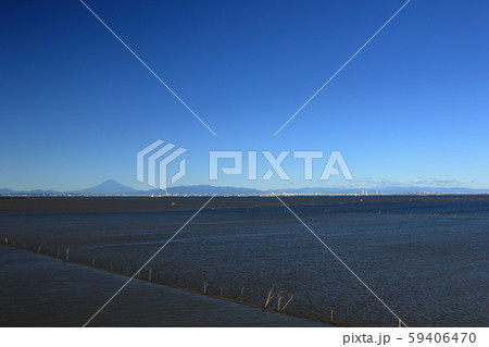 中の島大橋からの眺め 中の島大橋からの眺め 59406470