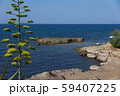 Sea coast in Alghero city, Sardinia, Italy 59407225