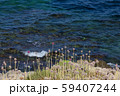 Seascape with turquoise water and purple flowers on the sardinia 59407244