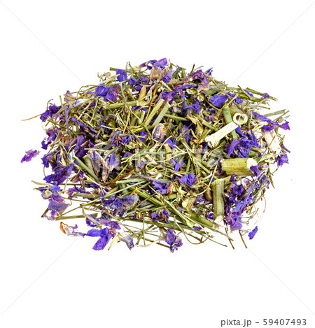 Dried comfrey herb on white. Genus Symphytum, family Boraginaceae close-up. 59407493