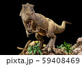Tyrannosaurus rex . T-rex is walking , growling 59408469