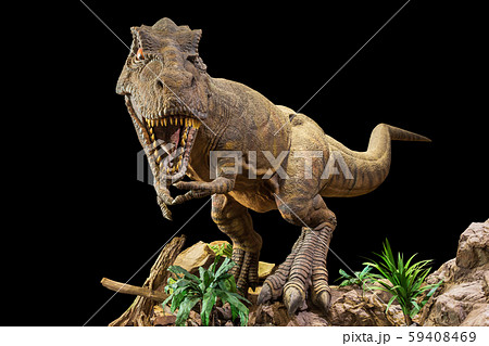Tyrannosaurus rex . T-rex is walking , growling 59408469
