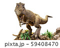 Tyrannosaurus rex . T-rex is walking , growling 59408470