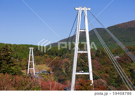 九重“夢”大吊橋 59408786