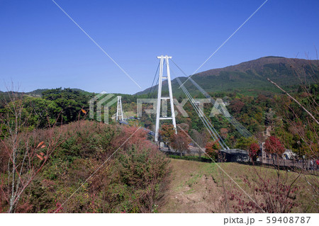 九重“夢”大吊橋 九重“夢”大吊橋 59408787