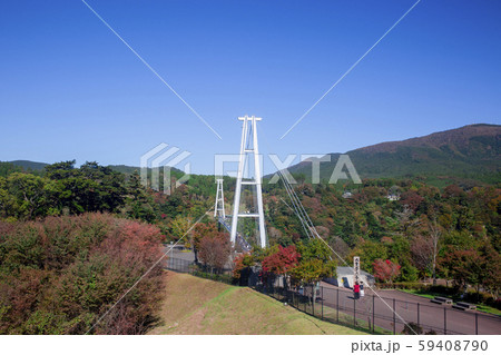 九重“夢”大吊橋 九重“夢”大吊橋 59408790