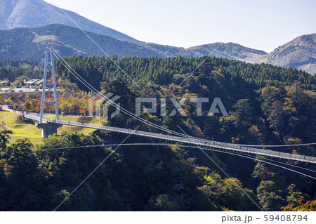 九重“夢”大吊橋 59408794