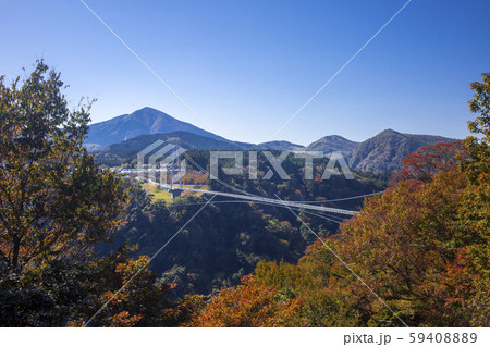 九重“夢”大吊橋 59408889