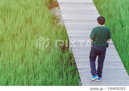 Back view of male walk and take photography along the bamboo path that crossed through the fields in the evening before the sun set down on the horizon. 59409262