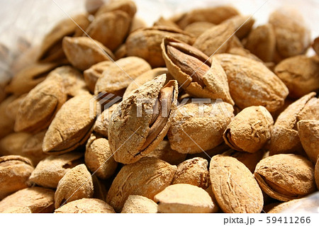 アーモンドの実 59411266