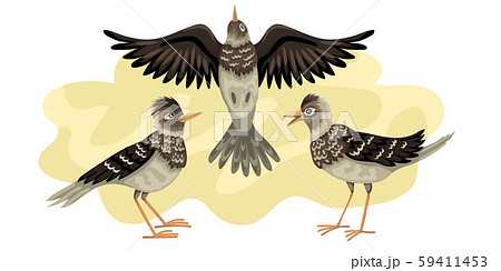 Larks migratory bird. Three birds fly against the background of the sky. Larks migratory bird Larks migratory bird. Three birds fly against the background of the sky. Larks migratory bird 59411453