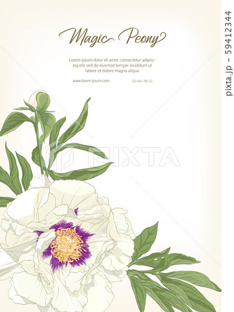 White Peony. Template for wedding invitation, 59412344