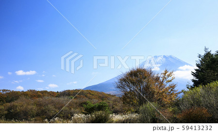 朝霧高原（秋） 59413232