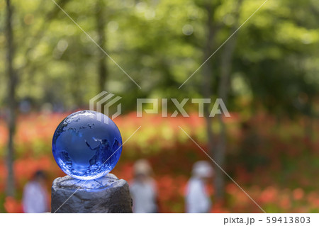 【巾着田　彼岸花　eco】 59413803